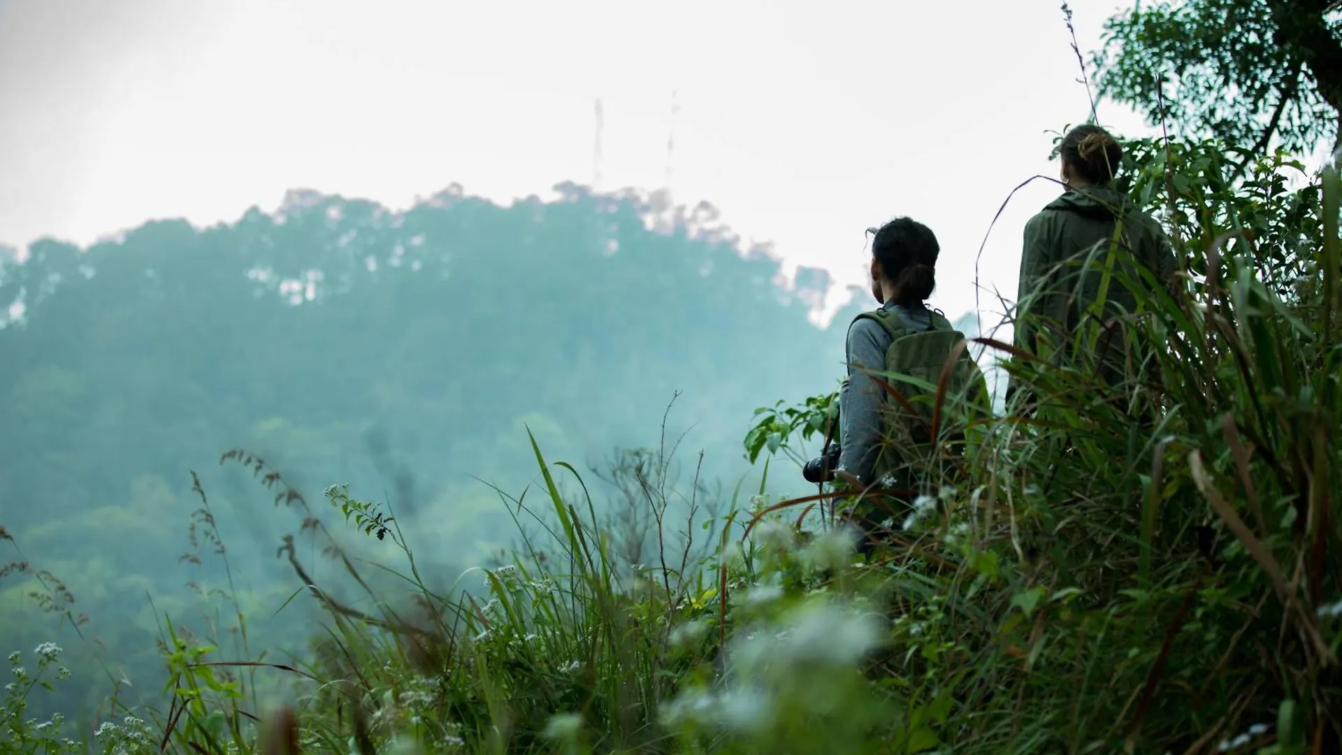 Wayanad Wild - A Cgh Earth Experience Ξενοδοχείο Vythiri Θέρετρο