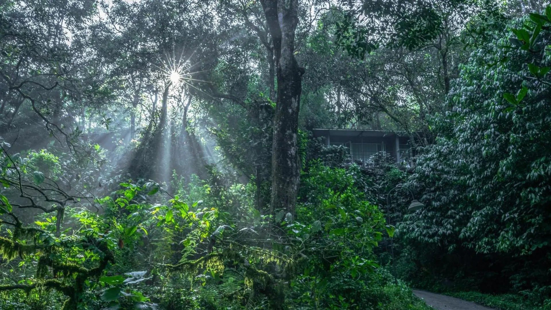 Wayanad Wild - A Cgh Earth Experience Ξενοδοχείο Vythiri 5*,  Ινδία