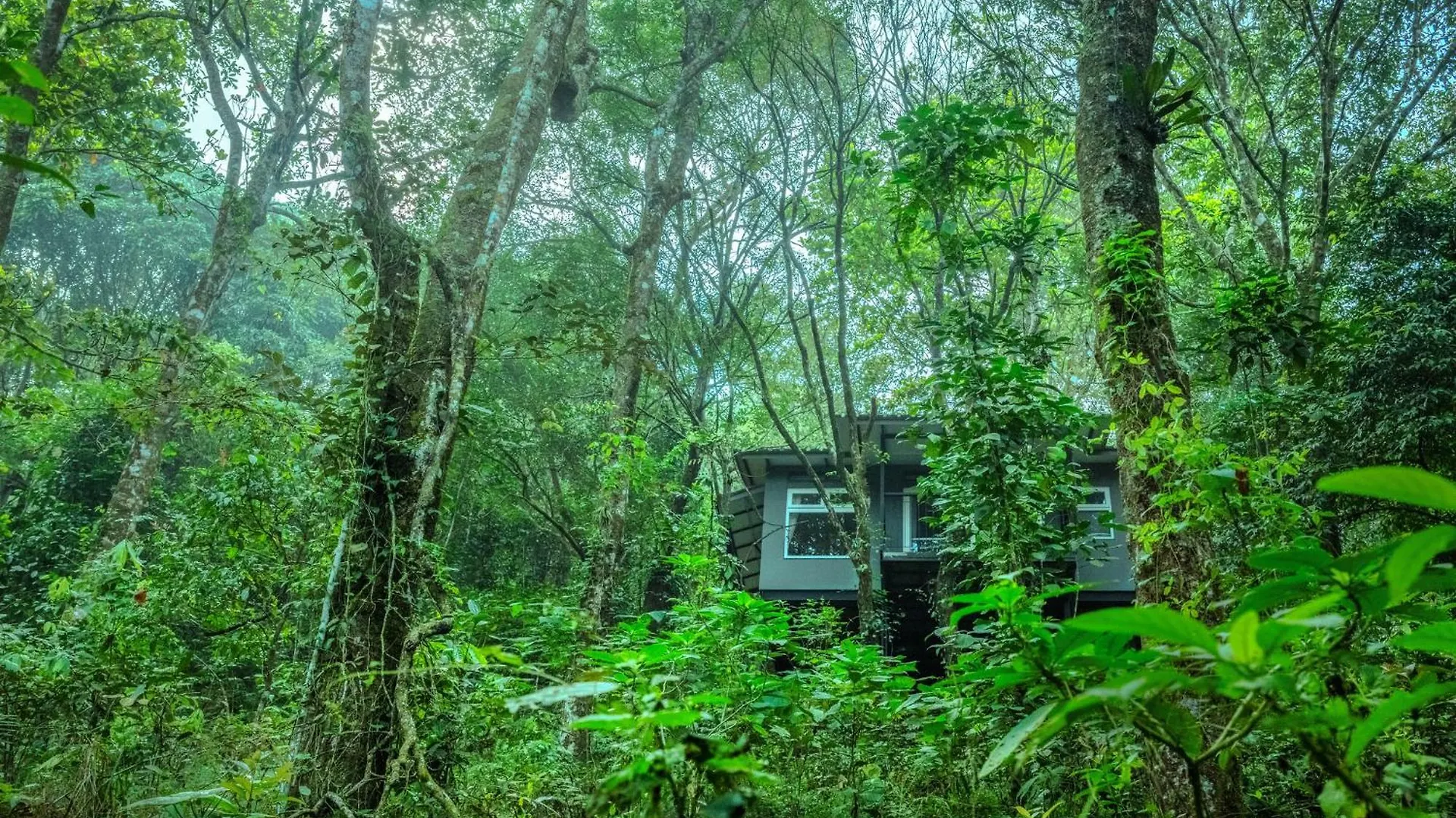 Wayanad Wild - A Cgh Earth Experience Ξενοδοχείο Vythiri Θέρετρο