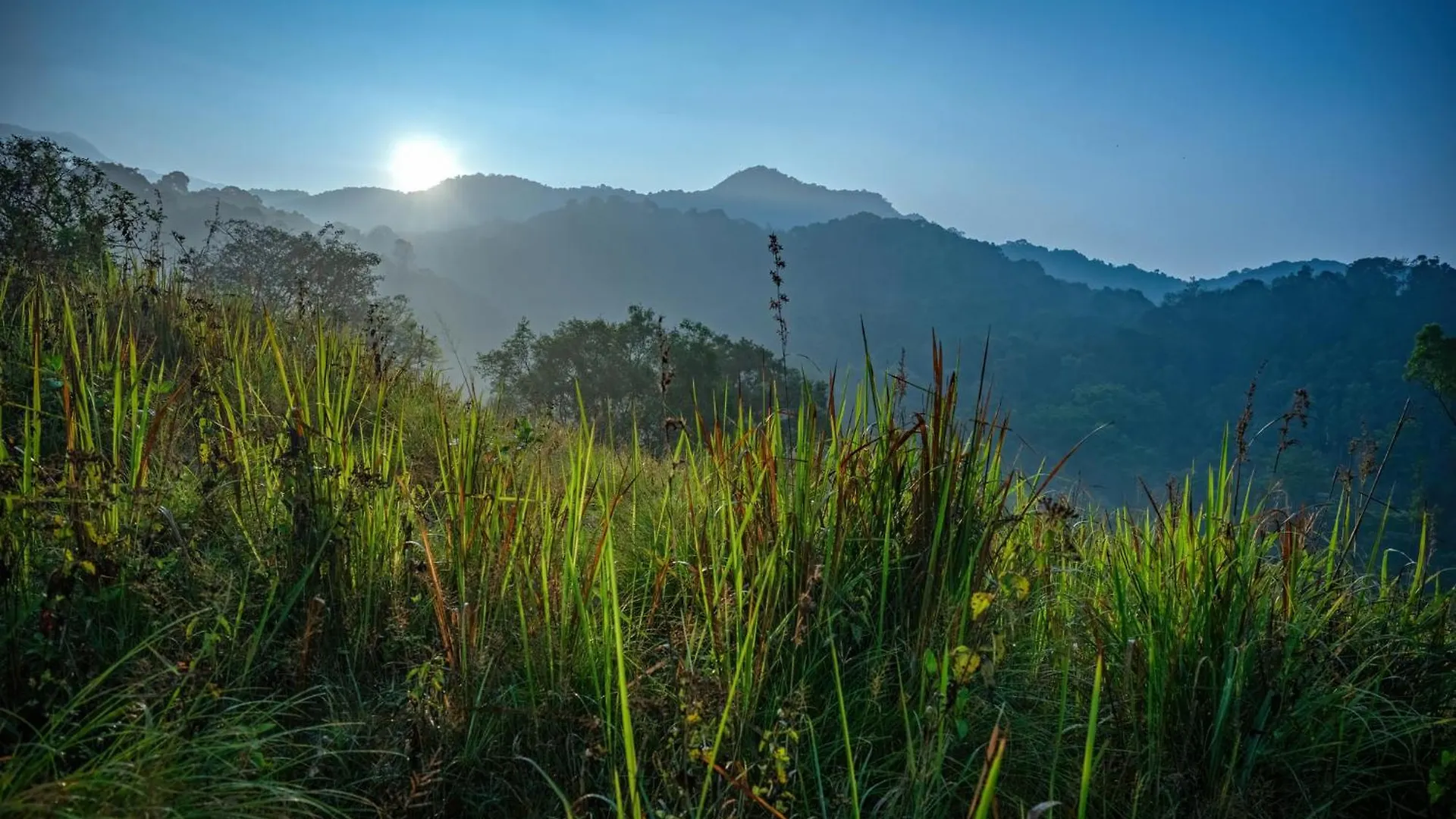 ***** Θέρετρο Wayanad Wild - A Cgh Earth Experience Ξενοδοχείο Vythiri Ινδία